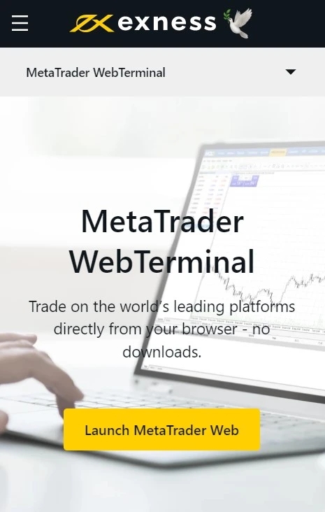 Key Features of Web Terminal